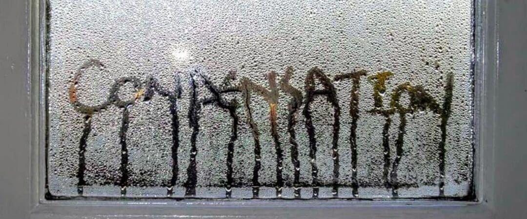 Windows and Condensation