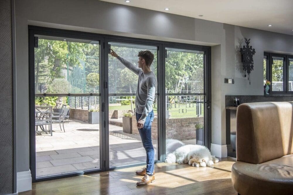 blinds in door glass