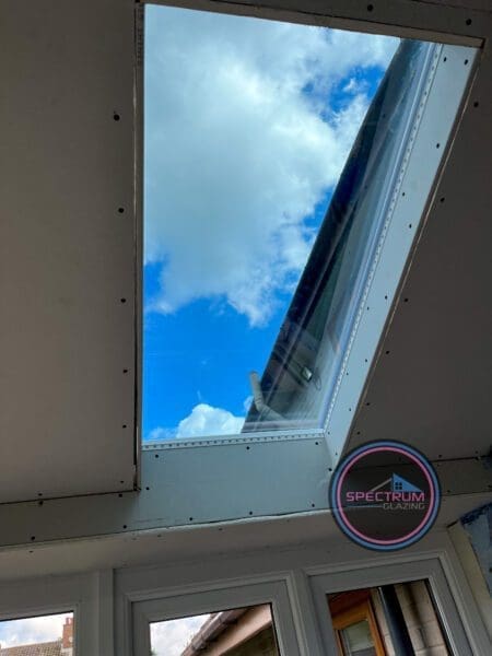 img 0780 450x600